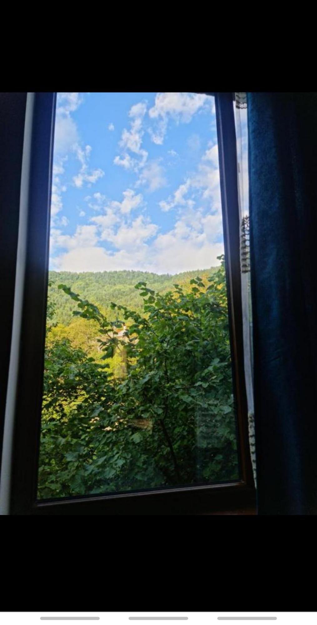 Hotel Strawberry Borjomi Exterior foto